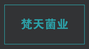 食品行业怀化冲锋衣设计款式